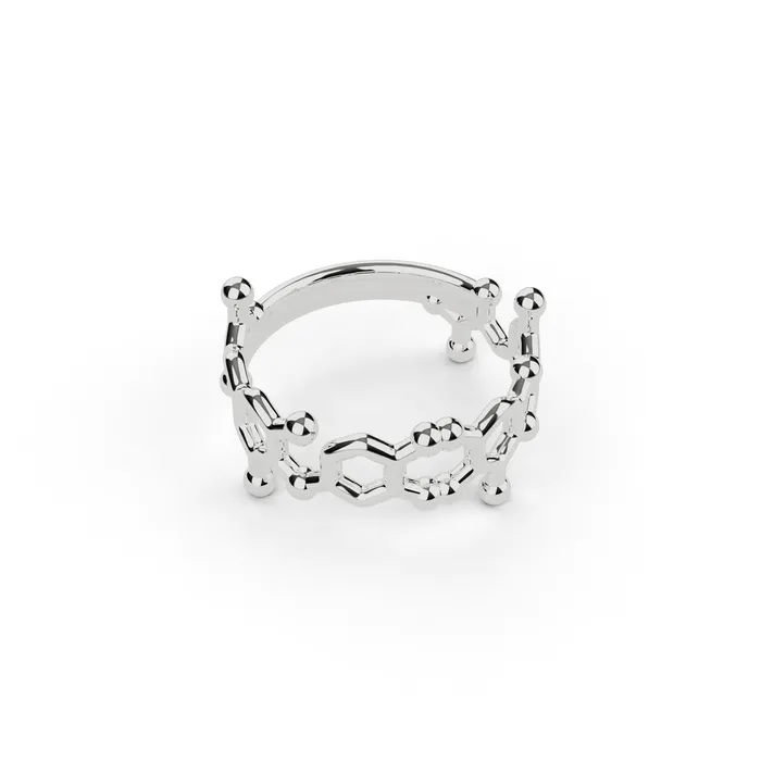 sciencejewelry1824 Rings T3 T4 ring silver
